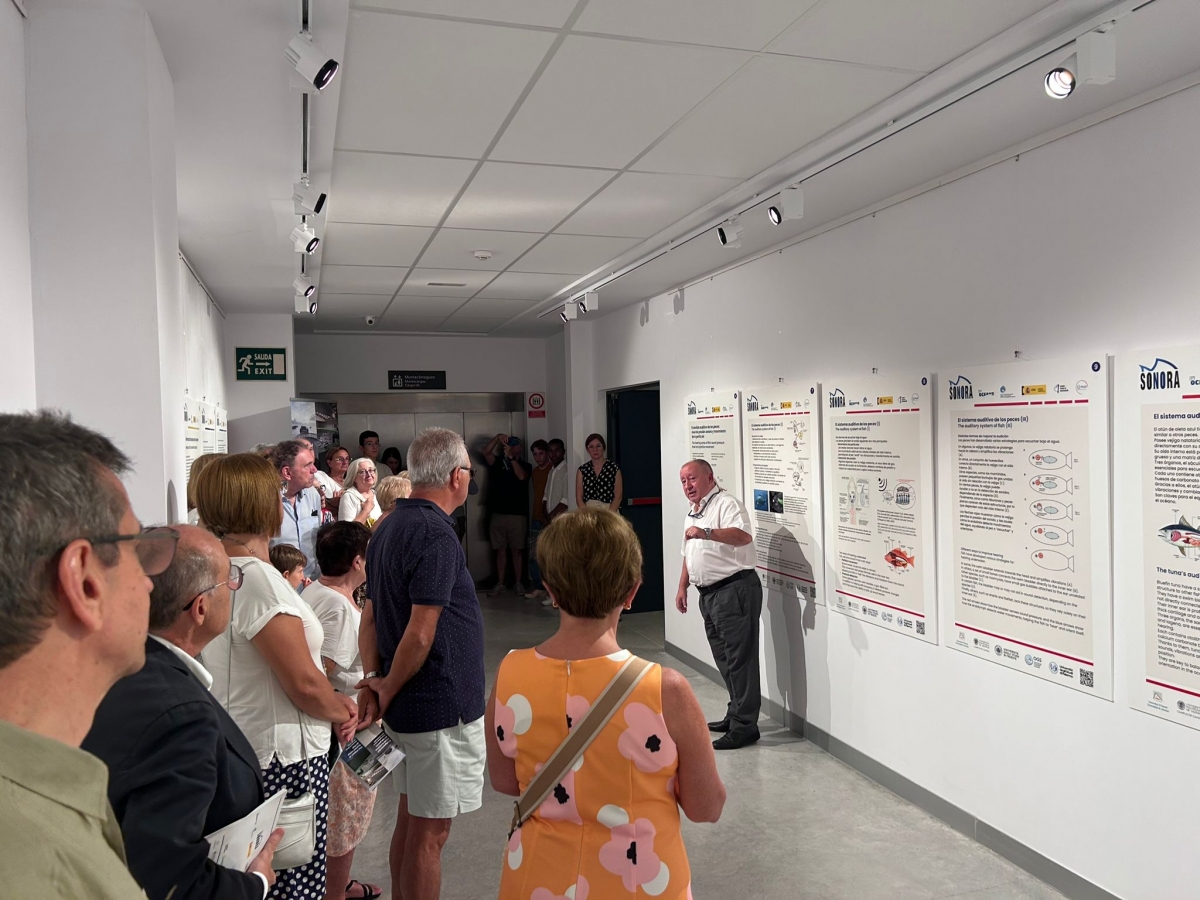 Vilamuseu acoge una nueva exposición sobre el impacto de las acciones humanas en la fauna marina