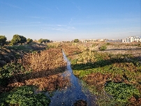 València retirará con sus medios residuos en los barrancos del Carraixet y Palmaret