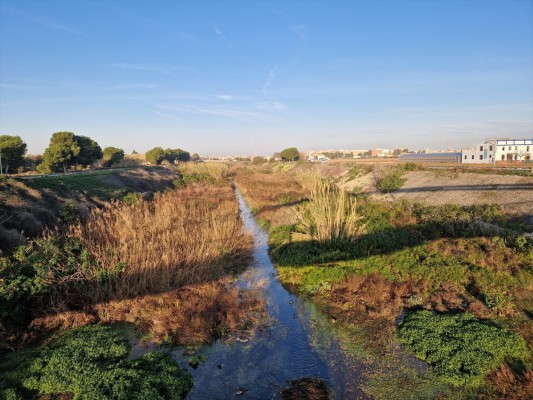 València retirará con sus medios residuos en los barrancos del Carraixet y Palmaret