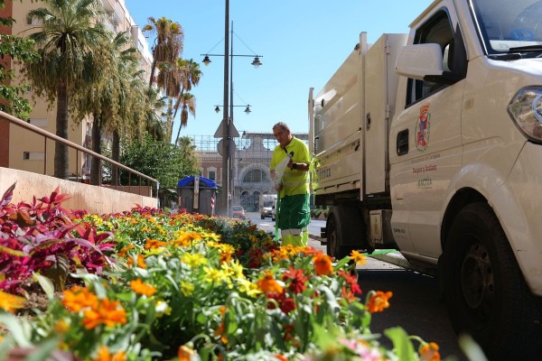 Cartagena se llena de flores para recibir a los Carthagineses y Romanos: se plantarán un total de 12.000 unidades 