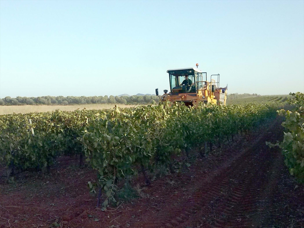La producción ecológica española mira a Asia tras el alza de aranceles de Estados Unidos