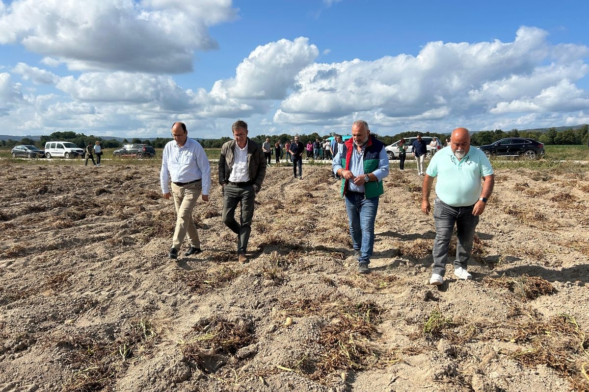  - Foto: AYTO. CARTAGENA