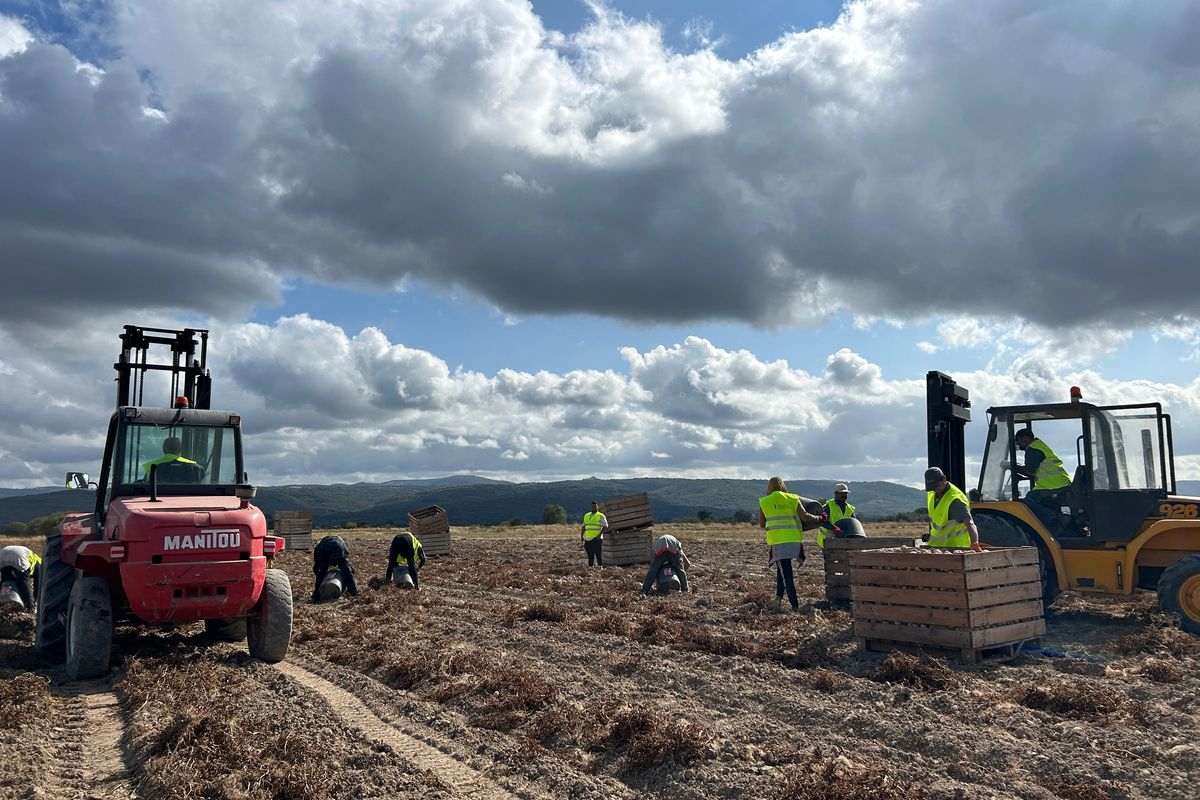  - Foto: AYTO. CARTAGENA