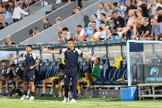 Chisgarabís blanquiazul