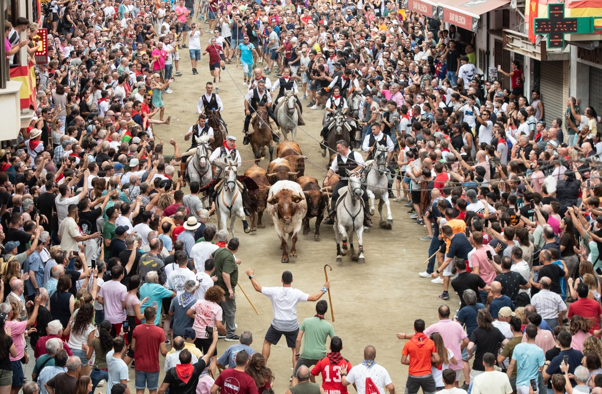 Rápida y excelente: Segorbe abre sus Entradas de Toros y Caballos con una carrera de apenas 49 segundos