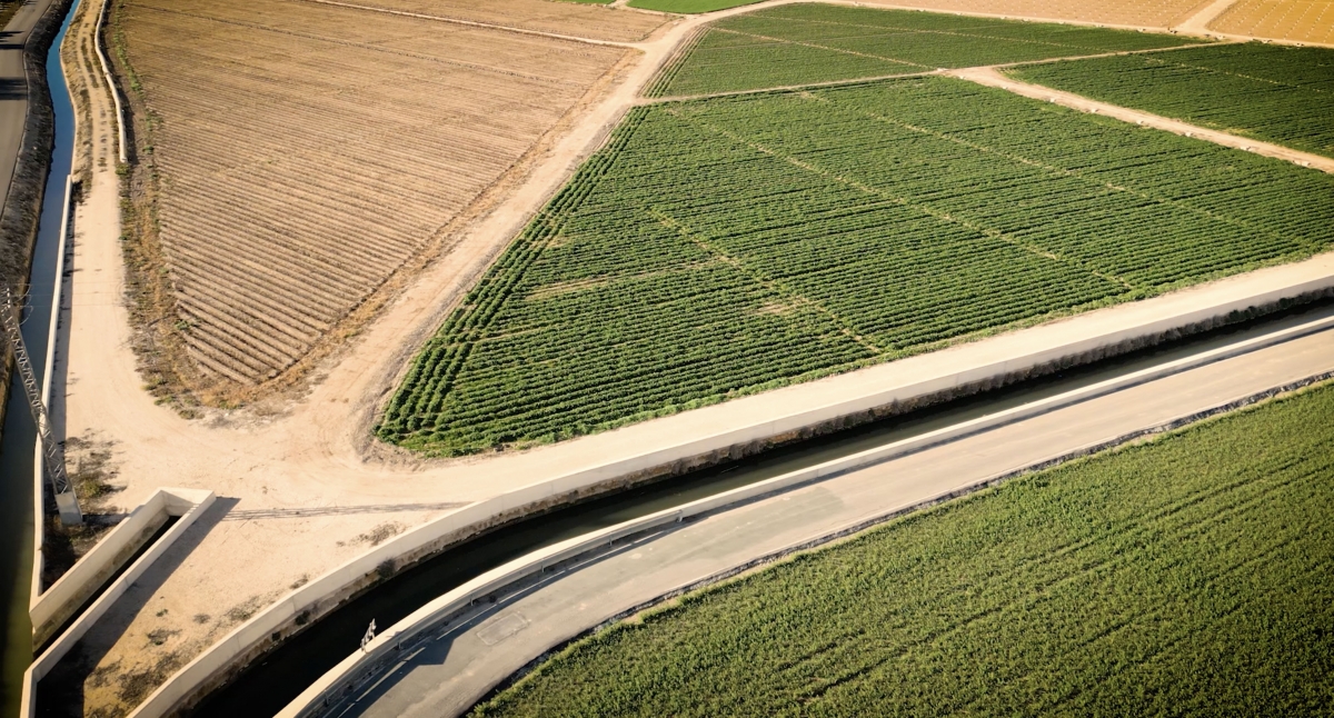 Campos de cultivo en la Vega Baja.
