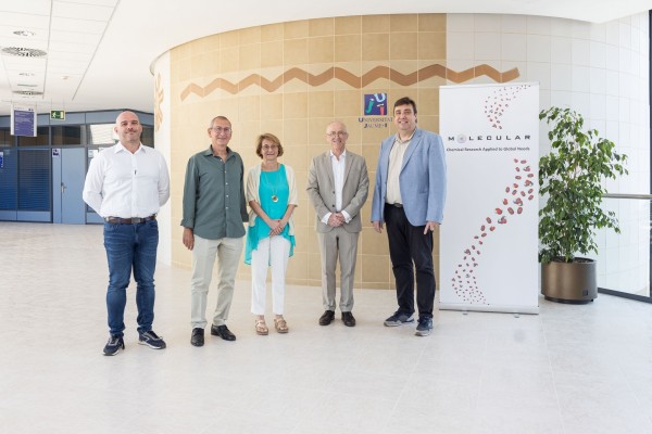 Molecular Sustainable Solutions, derivada de l'UJI, rep inversió per a impulsar mètodes de desinfecció