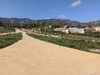 Nadie opta al contrato para aumentar la vegetación de calles, parques y jardines de Alcoy por 293.000 euros