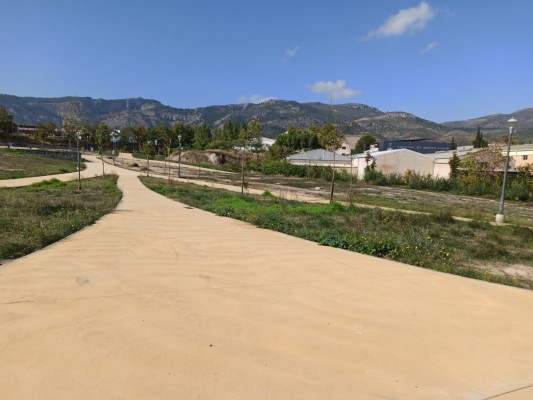 Nadie opta al contrato para aumentar la vegetación de calles, parques y jardines de Alcoy por 293.000 euros