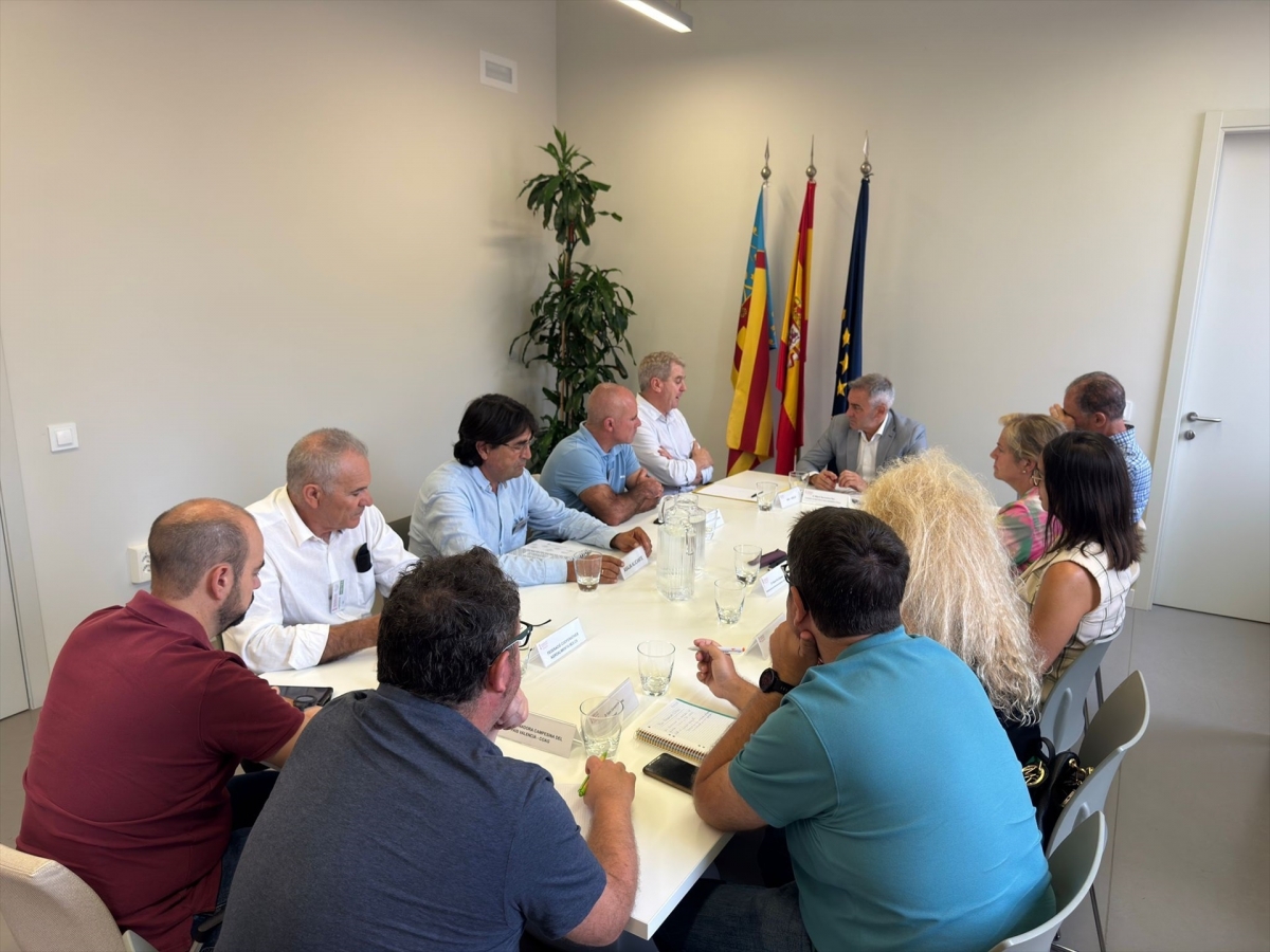 La Generalitat propone al sector agrícola impulsar un plan de reconversión de cítricos en la Comunitat Valenciana