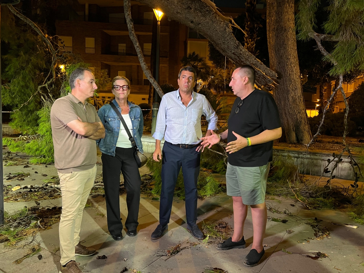 Parkinson, óxido y Mazón