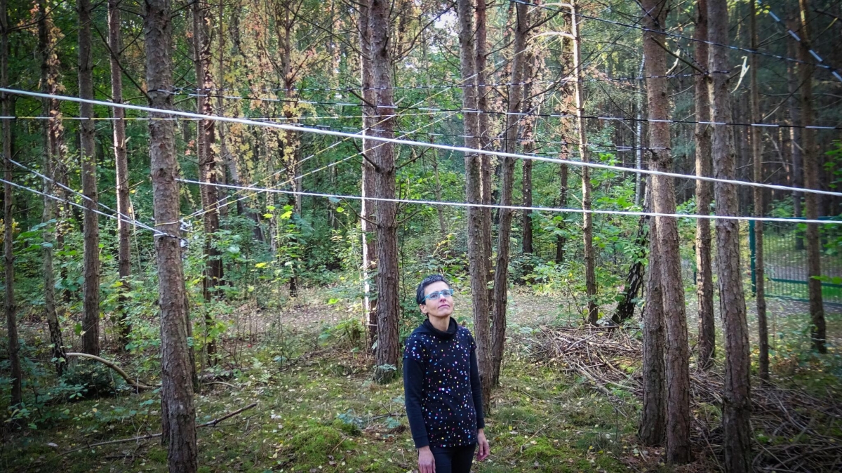 El Museo Gabarrón conecta las obras de las artistas Elena Bajo, Mayte Santamaría y Luisa Aristizabal en la muestra 'Tres líneas y su punto de encuentro'