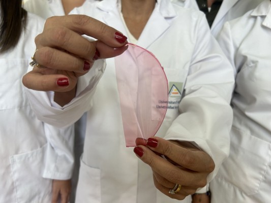 La UA desarrolla un biosensor capaz de indicar si un alimento fresco está en buen estado para su consumo