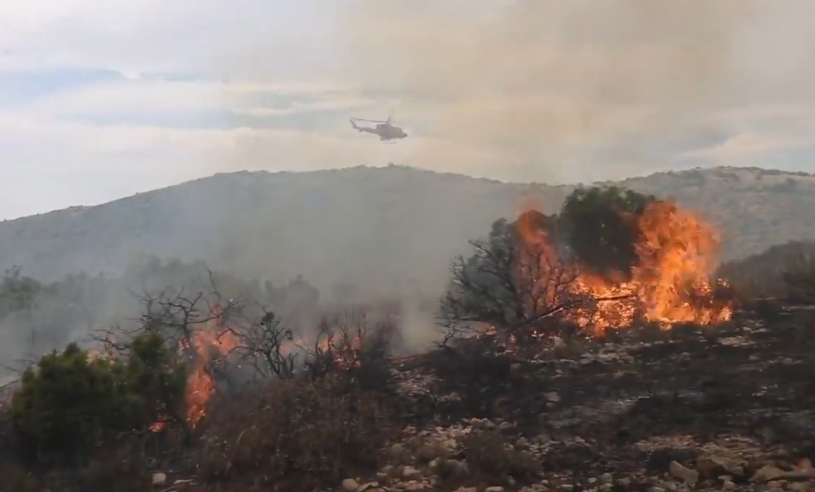 Un estudio de la zona de la Font Roja afectada por un incendio en julio apunta una alta capacidad de regeneración 