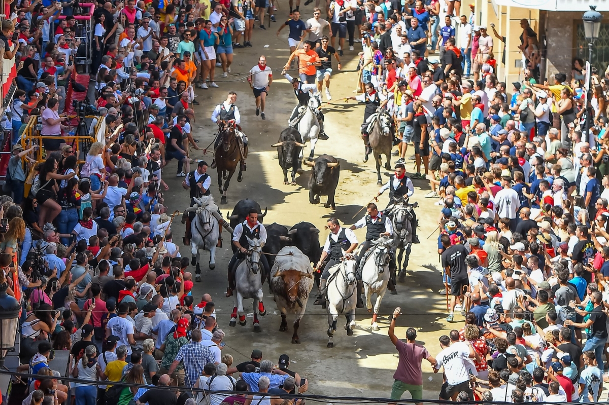 Una alargada Entrada de Toros y Caballos protagoniza la tercera jornada de celebración en Segorbe