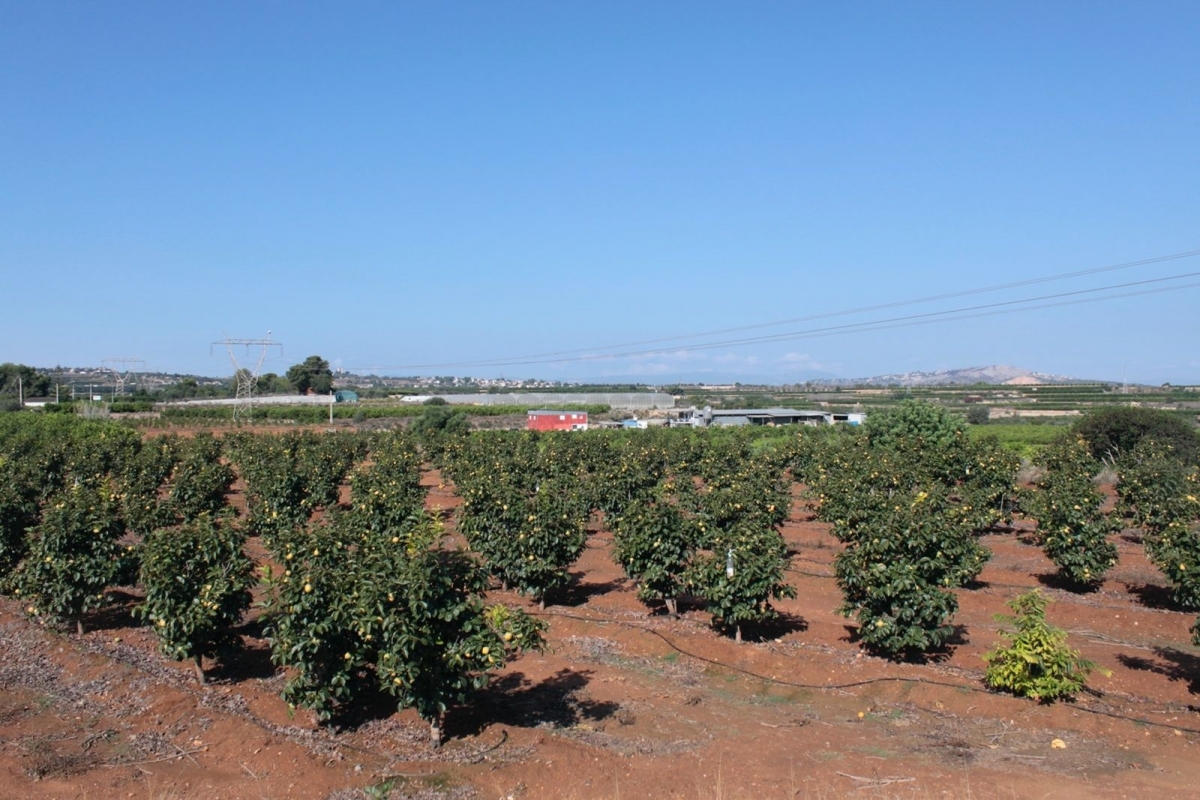  - Foto: AYUNTAMIENTO DE PICASSENT