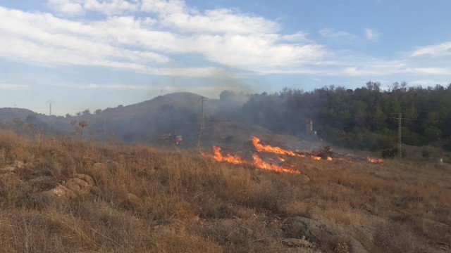 Declarado un incendio en Mina Blanca, en el Llano del Beal cerca de una zona de pinos