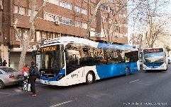 El transporte por autobús gana 'seguidores': crece un 6% en la Región durante el mes de julio