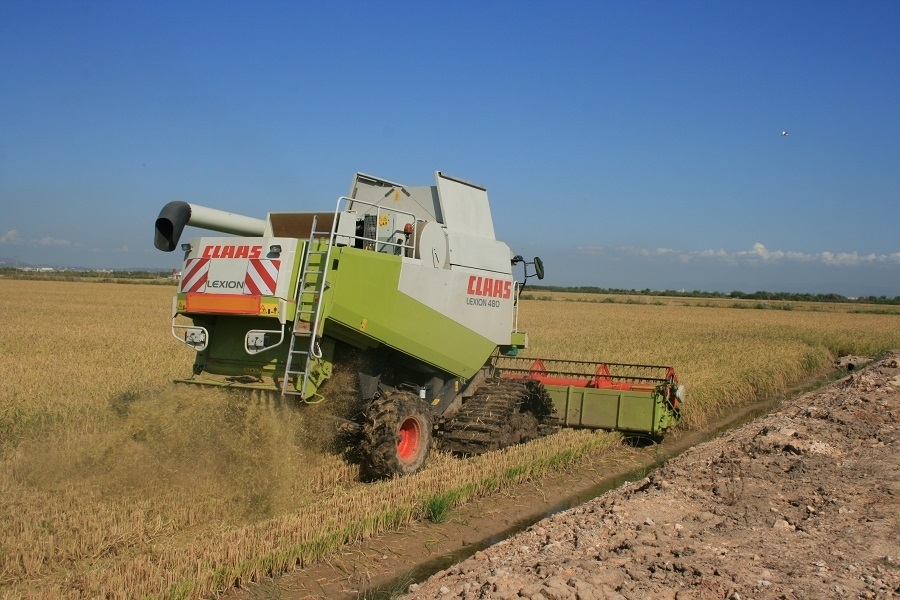 AVA-Asaja advierte que la rentabilidad del arroz 