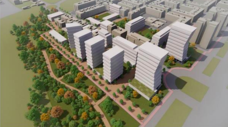 PAI en San Marcelino - 