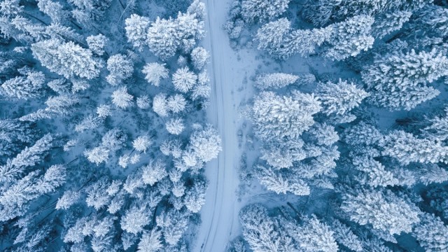 El Gran Invierno