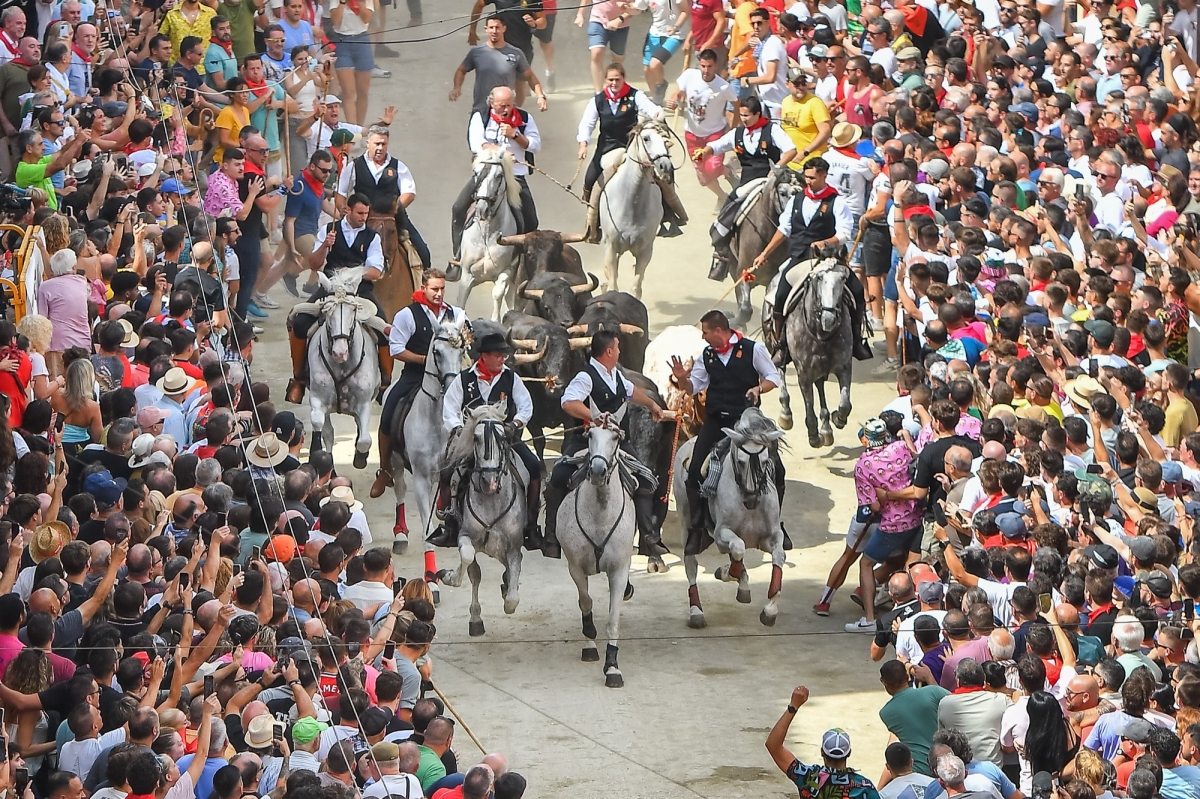 Segorbe vibra con una grandiosa y expectante sexta y penúltima Entrada de Toros y Caballos