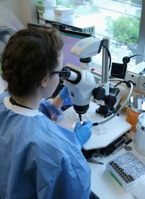 La Región invertirá 2,3 millones de euros para financiar las investigaciones de las tesis doctorales