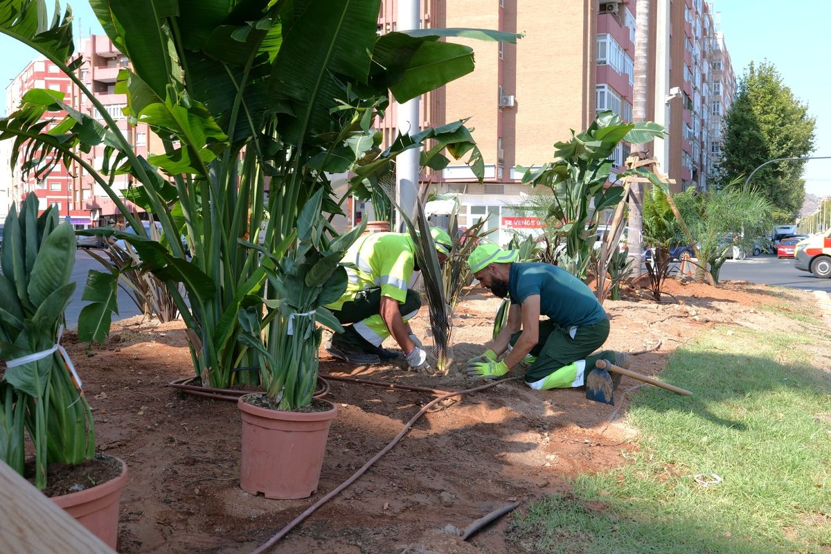  - Foto: AYTO CARTAGENA