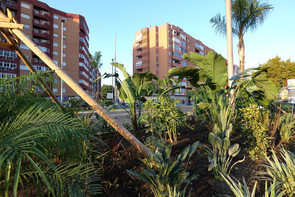  - Foto: AYTO CARTAGENA