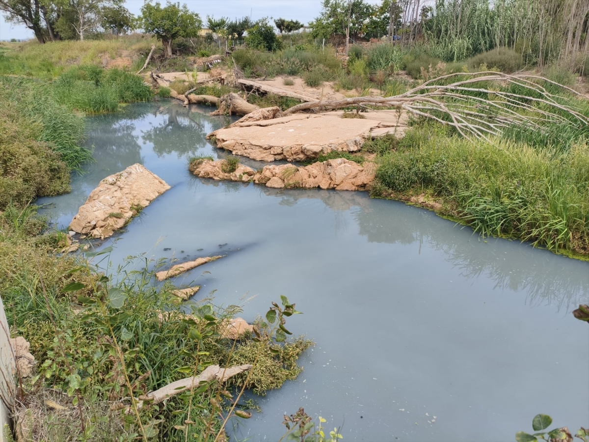  - Foto: AYUNTAMIENTO REQUENA
