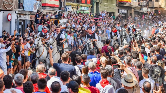Segorbe cierra una semana de excelencia con una valerosa séptima Entrada de Toros y Caballos