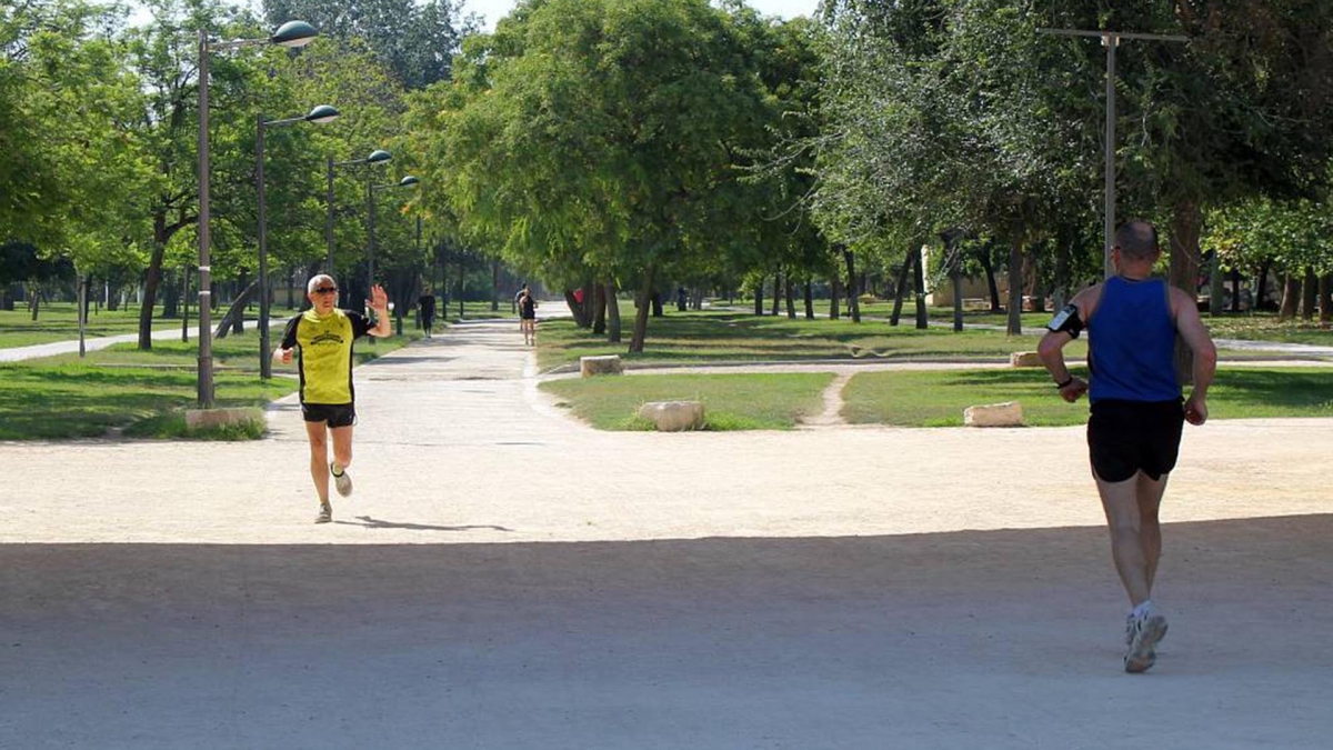  - Foto: AYUNTAMIENTO DE VALÈNCIA