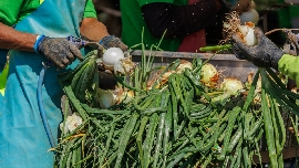 Radiografía de la población extranjera en Alicante: son el 23%, y claves en hostelería, agricultura y servicios domésticos