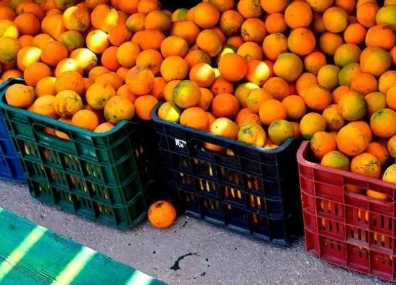 Ivace+i impulsa un proyecto de convertir fruta en mal estado en bioproductos para cosméticos