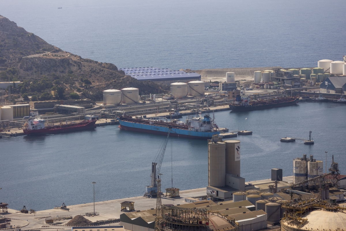 Paralizado en Cartagena el buque Trans Tind con productos químicos de la multinacional israelí ICL