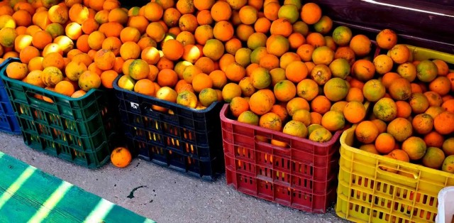 Ivace+i impulsa un proyecto para transformar fruta en mal estado en bioproductos para cosméticos y biofertilizantes

