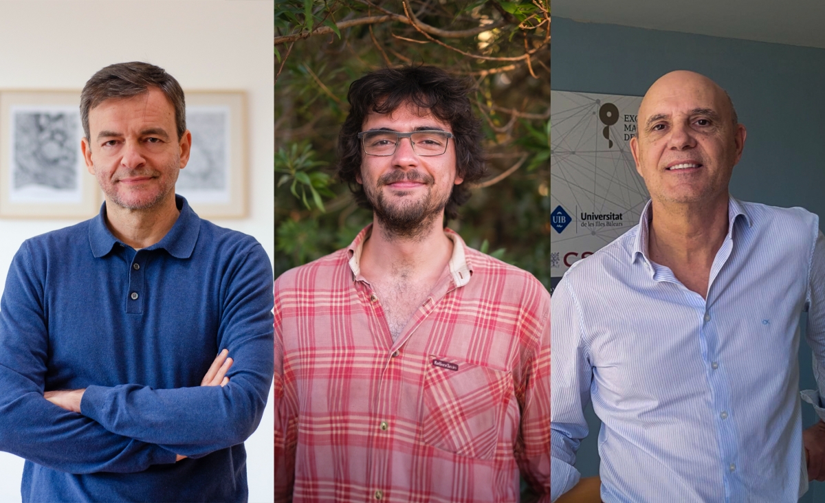 Un estudio del Instituto de Neurociencias UMH-CSIC muestra cómo el cerebro elige las rutas para procesar la información