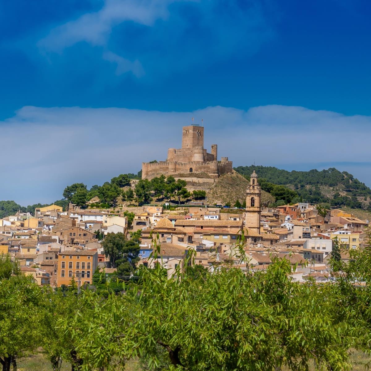 El Obispado de Alicante pide perdón tras la condena al párroco de Biar por agresión sexual