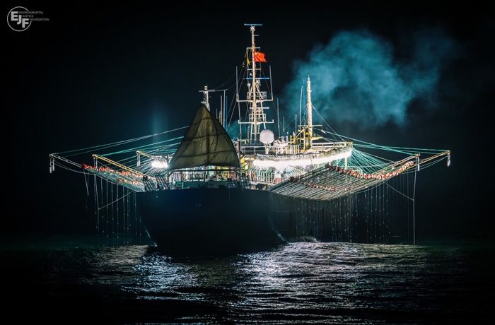 EJF revela que España es la puerta de entrada del calamar importado de la Milla 201