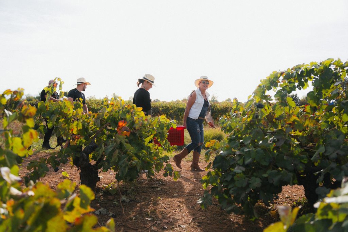 La serie 'Enológica' dedica su nuevo capítulo a los vinos de Castellón