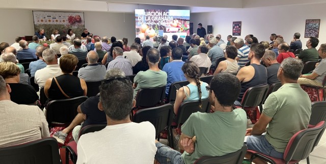 Investigación, identidad y unión: las claves del futuro de la granada mollar de Elche