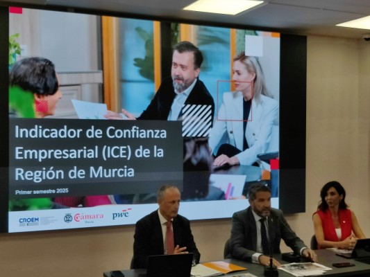 Industria y comercio se establecen como motor del optimismo económico en la Región con la agricultura de capa caída