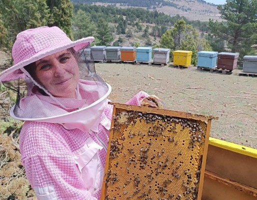 La Alquería de Montanejos mantiene viva la tradición apícola de la comarca
