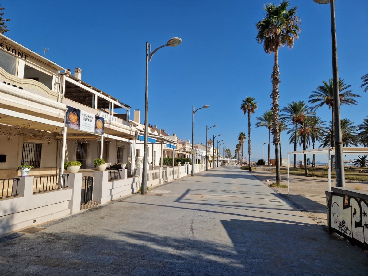 Alboraya mejorará el drenaje del palmeral sur de La Patacona y la calle Arnau de Vilanova para evitar inundaciones tras las lluvias