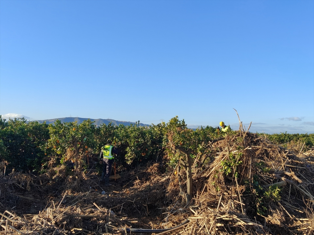 Agricultura destina 4,3 millones a trabajos de recuperación tras la Dana en Quart de Poblet