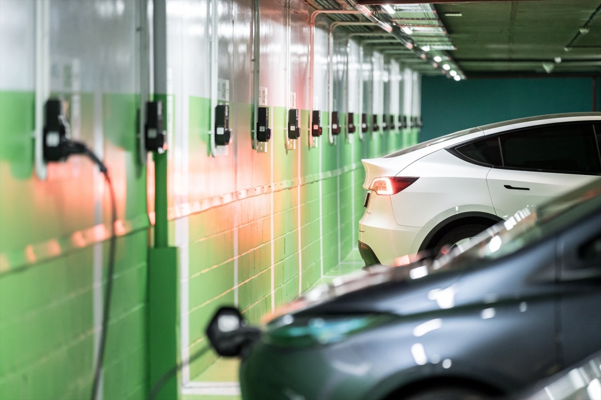  - Foto: AYUNTAMIENTO DE LAS ROZAS