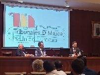 El Colegio de Abogados de Elche crea una comisión de Propiedad Intelectual