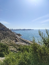 El 'pulmón' de la Serra Grossa de Alicante comienza a 'brotar' con una comisión público-privada