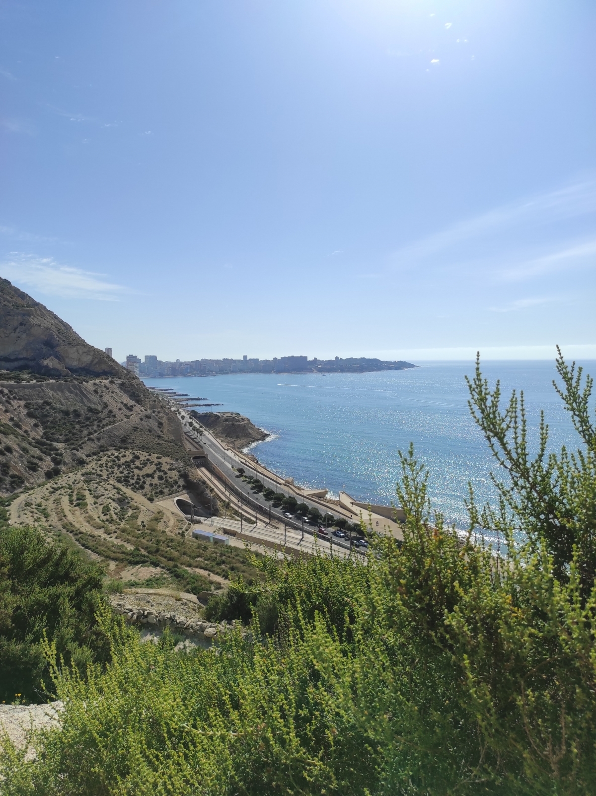 El 'pulmón' de la Serra Grossa de Alicante comienza a 'brotar' con una comisión público-privada