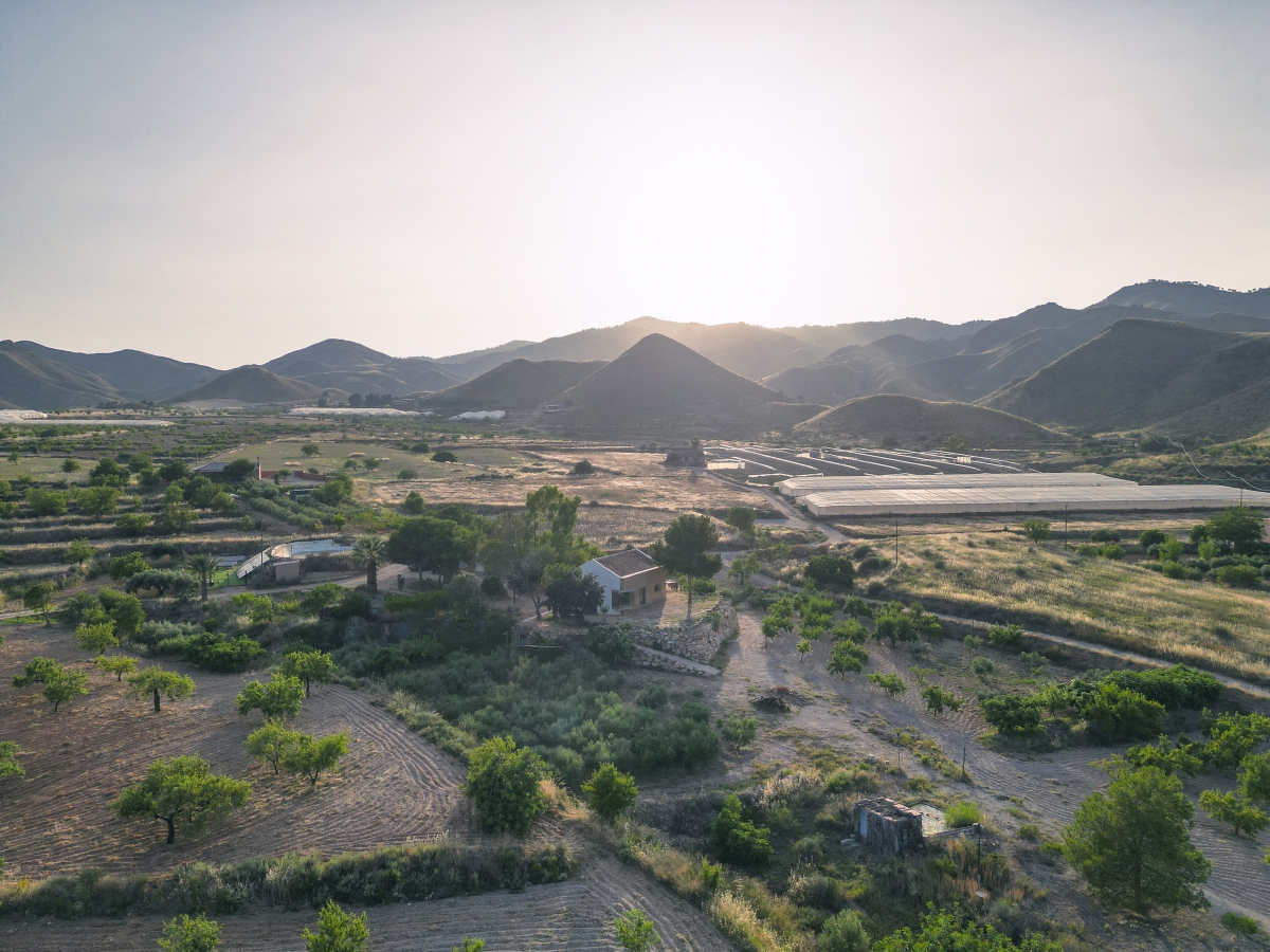  - Foto: Juan S. Calventu